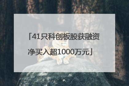 41只科创板股获融资净买入超1000万元