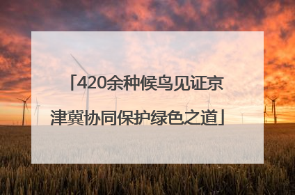 420余种候鸟见证京津冀协同保护绿色之道