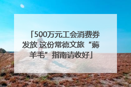 500万元工会消费券发放 这份常德文旅“薅羊毛”指南请收好
