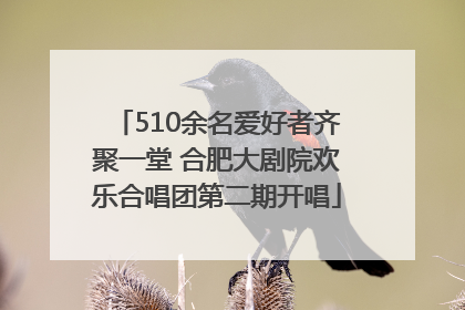 510余名爱好者齐聚一堂 合肥大剧院欢乐合唱团第二期开唱