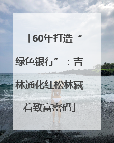 60年打造“绿色银行”：吉林通化红松林藏着致富密码