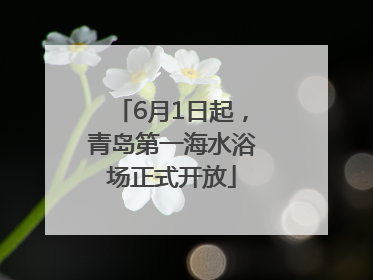 6月1日起，青岛第一海水浴场正式开放