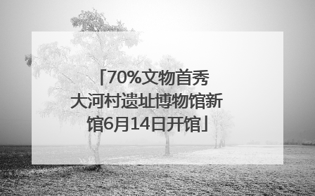 70%文物首秀 大河村遗址博物馆新馆6月14日开馆