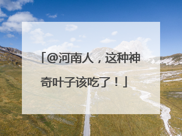 @河南人，这种神奇叶子该吃了！