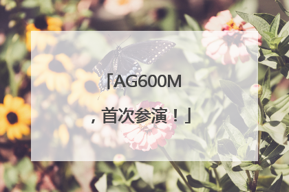 AG600M，首次参演！