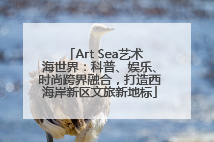 Art Sea艺术海世界：科普、娱乐、时尚跨界融合，打造西海岸新区文旅新地标