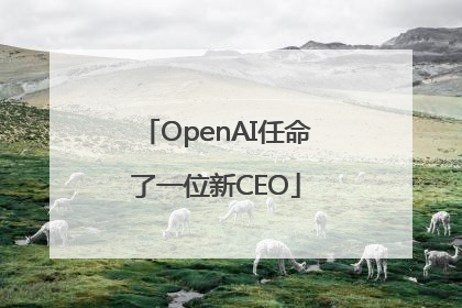 OpenAI任命了一位新CEO
