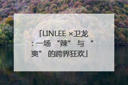 LINLEE ×卫龙：一场 “辣” 与 “爽” 的跨界狂欢