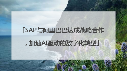 SAP与阿里巴巴达成战略合作，加速AI驱动的数字化转型